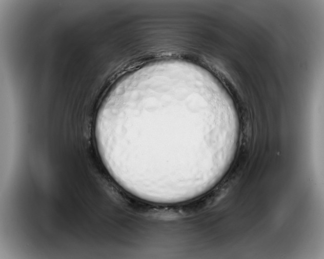 X0000083590545200703091721