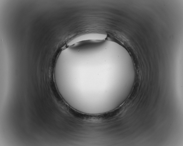 X0000083590546200703091721