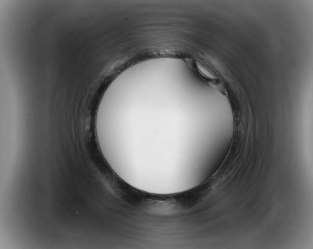 X0000083590548200703091721