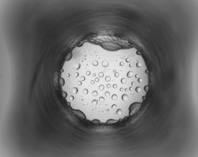 X0000083590549200703091721