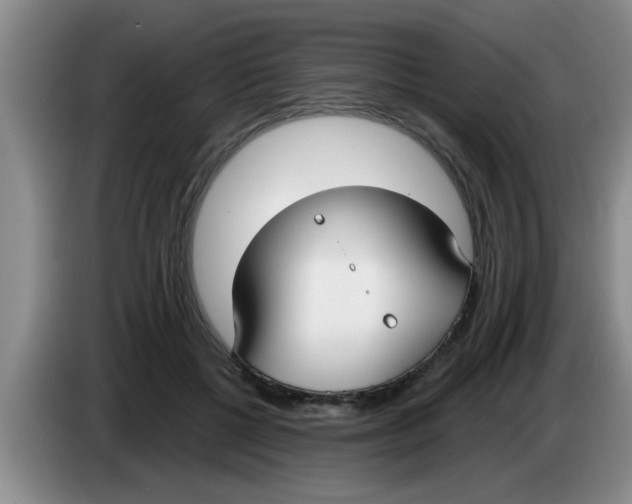 X0000083590552200703091722