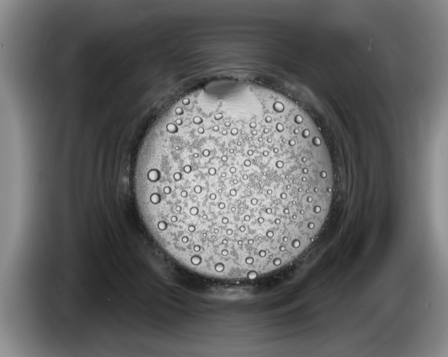 X0000083590553200703091722
