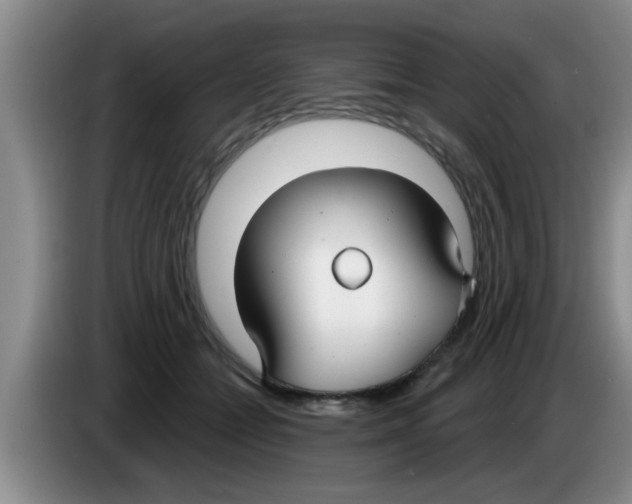 X0000083590558200703091722