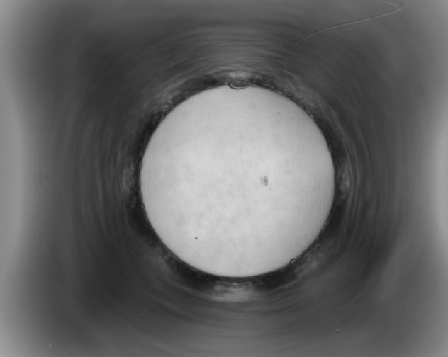 X0000083590559200703091722