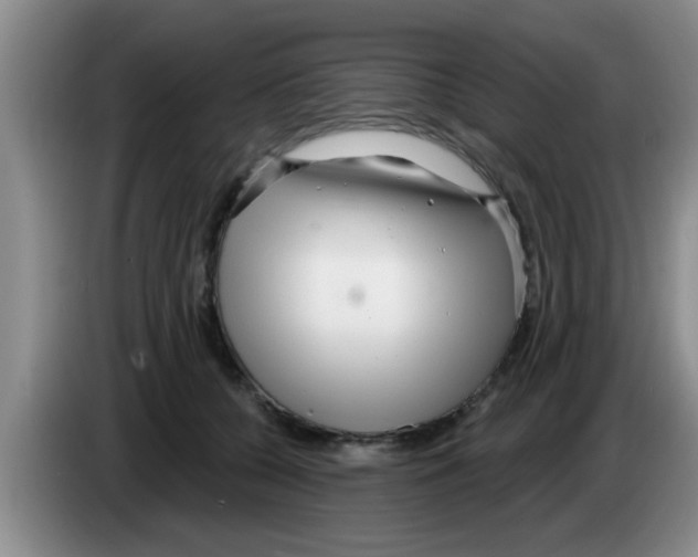X0000083590560200703091722
