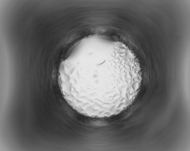 X0000083590561200703091722