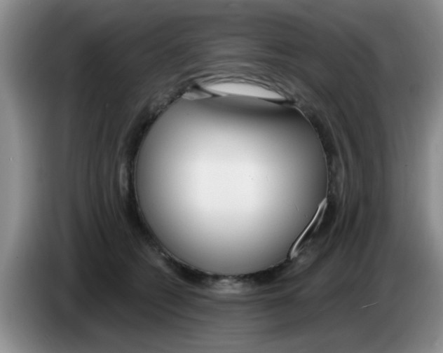 X0000083590562200703091722