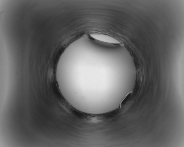 X0000083590564200703091722