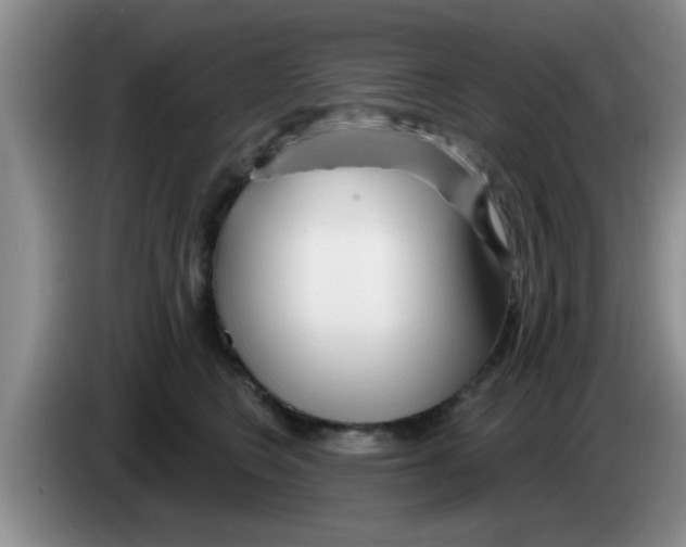 X0000083590566200703091722