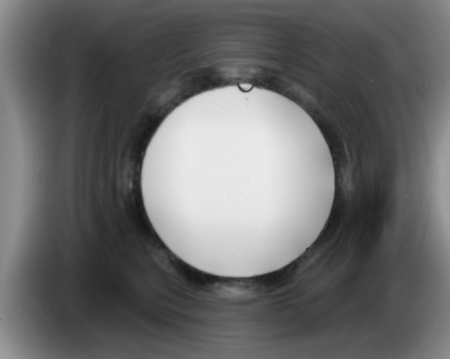 X0000083590567200703091722