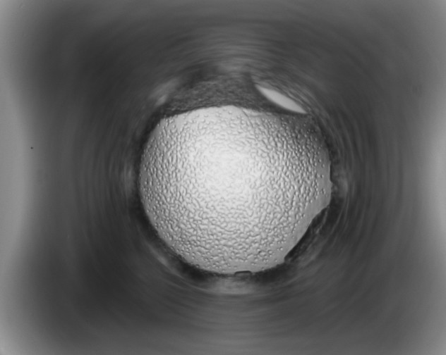 X0000083590568200703091722