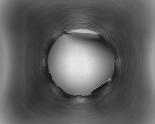 X0000083590570200703091722