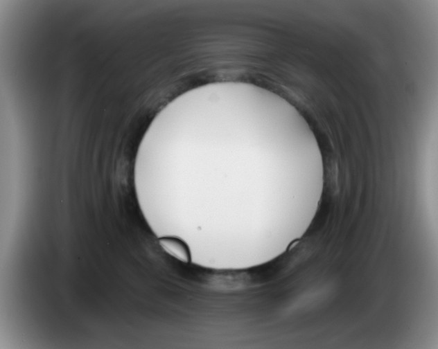 X0000083590571200703091722