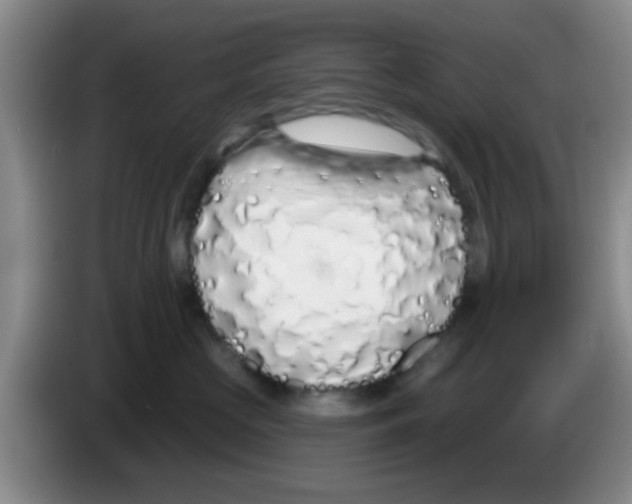 X0000083590573200703091722