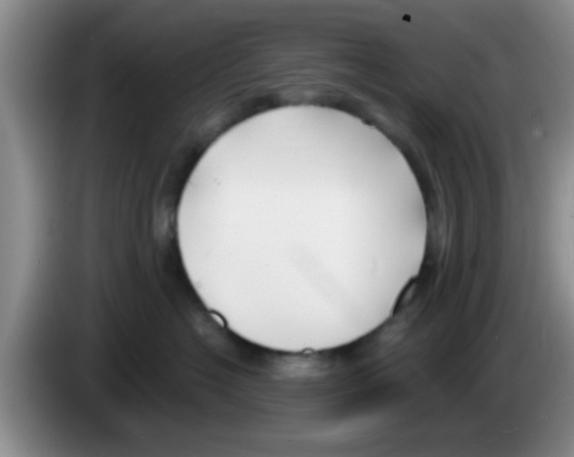 X0000083590574200703091722