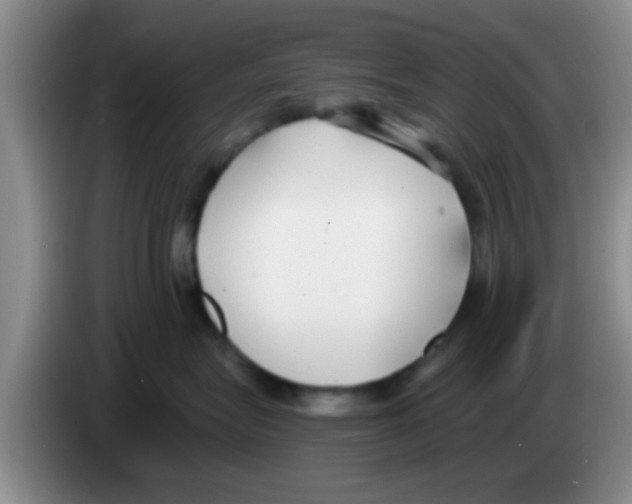 X0000083590575200703091722
