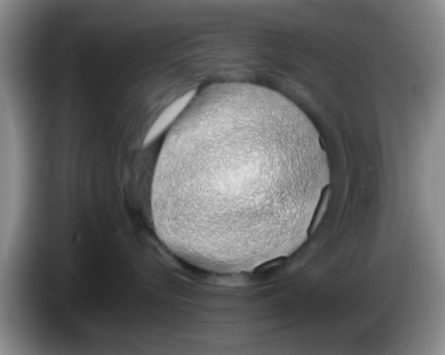 X0000083590576200703091722