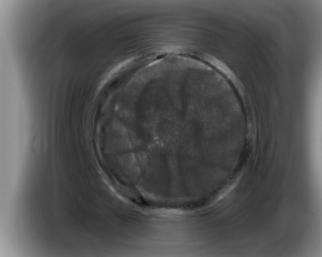 X0000083590577200703091721