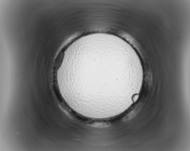X0000083590578200703091721