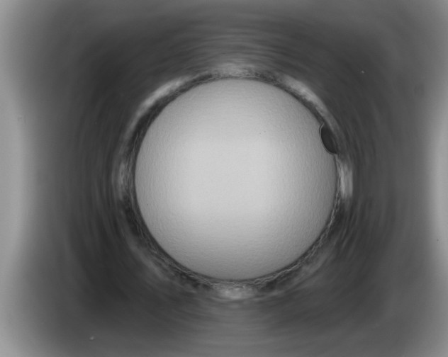 X0000083590579200703091721