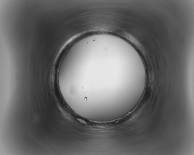 X0000083590580200703091721