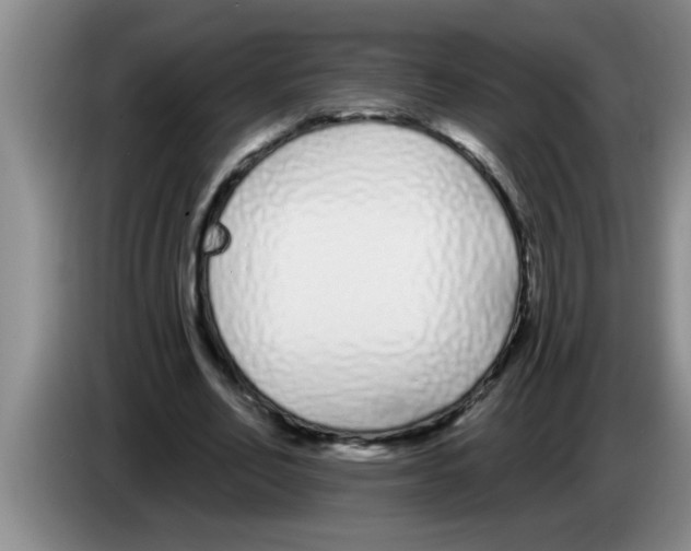 X0000083590582200703091721