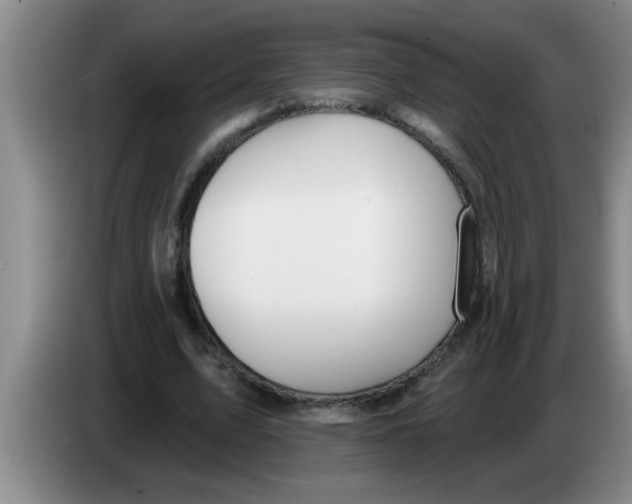 X0000083590583200703091721