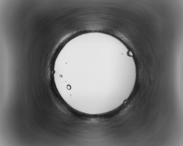 X0000083590584200703091721