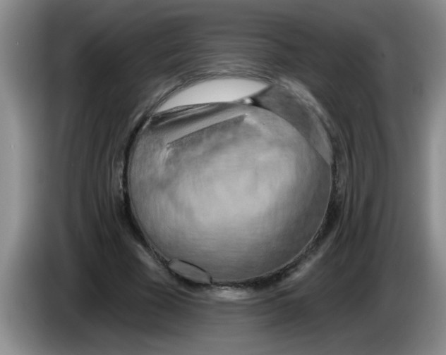 X0000083590585200703091721