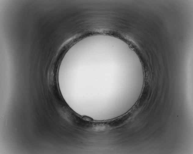 X0000083590587200703091721