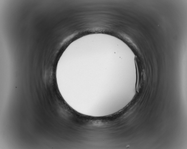 X0000083590588200703091721