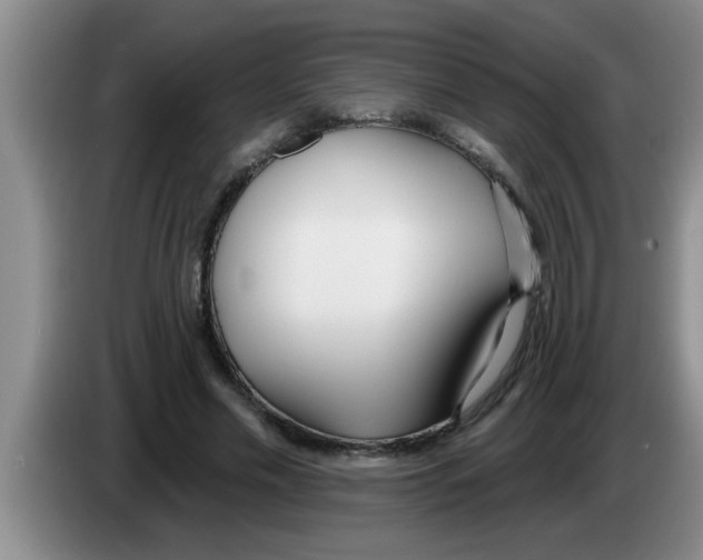 X0000083590589200703091721