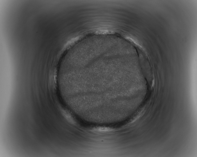 X0000083590590200703091721
