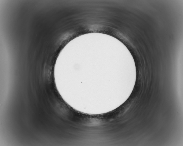 X0000083590592200703091721