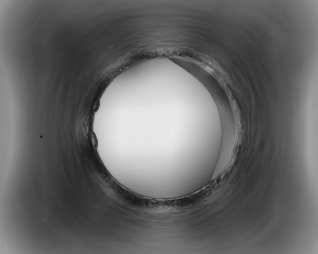 X0000083590593200703091721