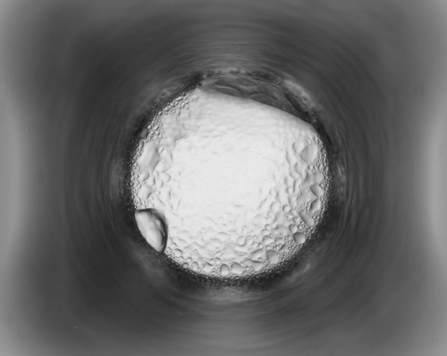 X0000083590594200703091721