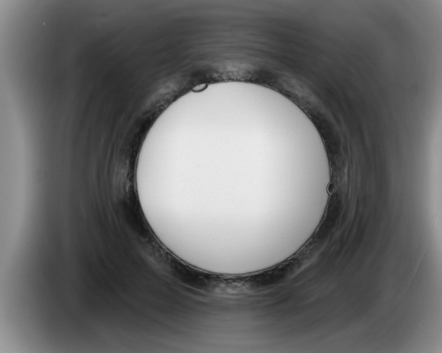 X0000083590599200703091721