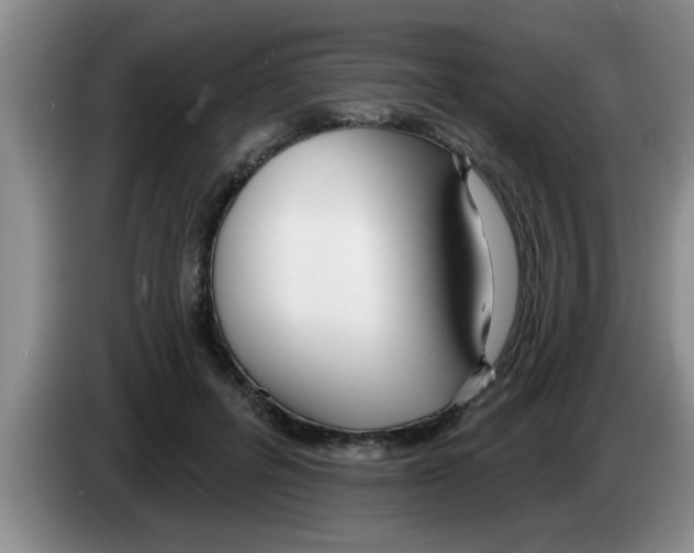 X0000083590600200703091721