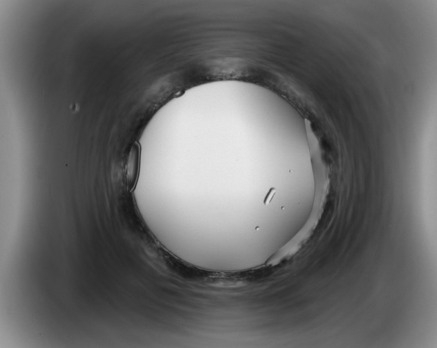 X0000083590601200703091721