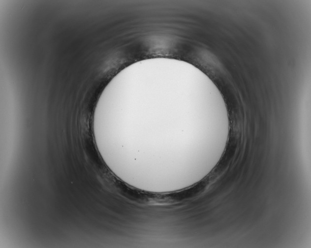 X0000083590603200703091721