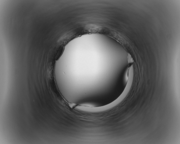 X0000083590604200703091721