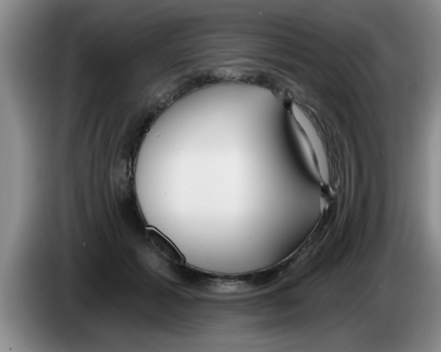 X0000083590605200703091721