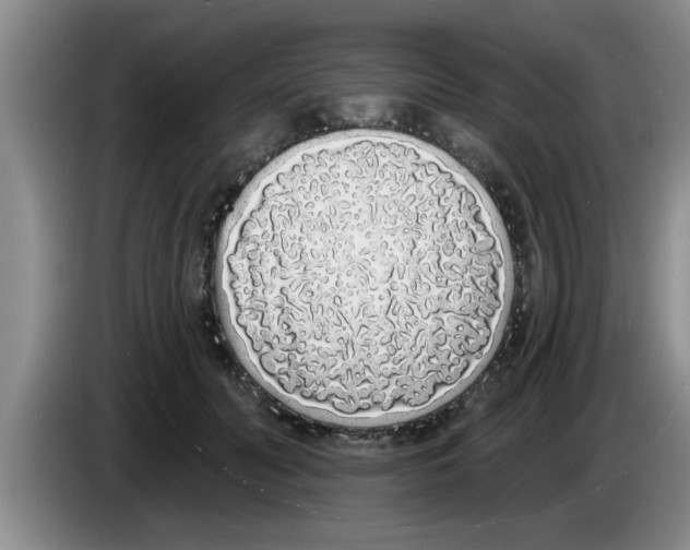 X0000083590606200703091721