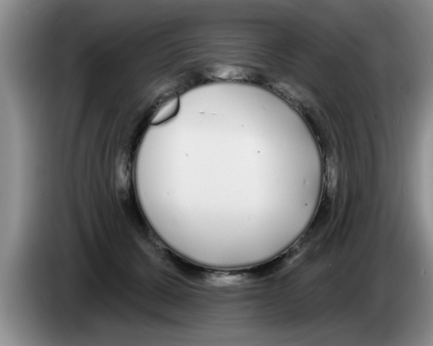 X0000083590607200703091721