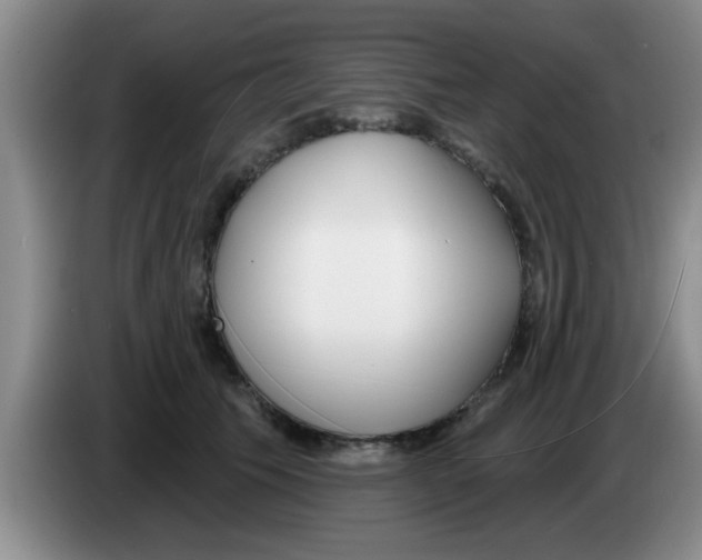 X0000083590609200703091721