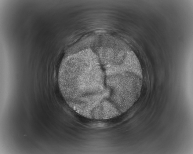 X0000083590610200703091721