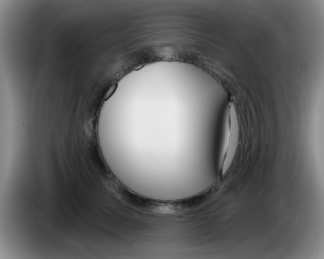 X0000083590611200703091721
