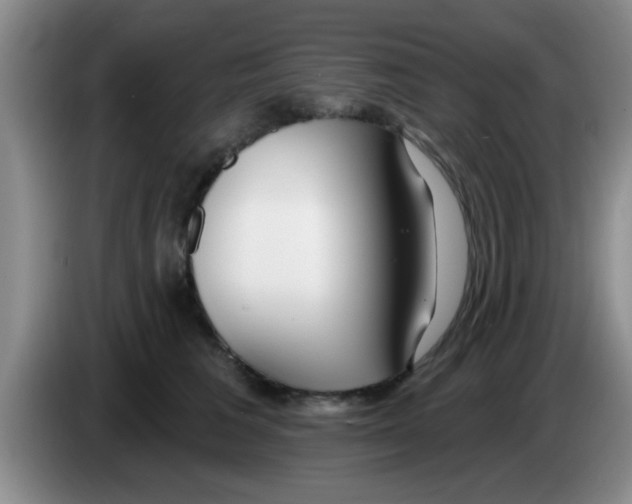 X0000083590613200703091721
