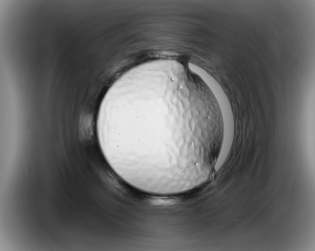 X0000083590614200703091721
