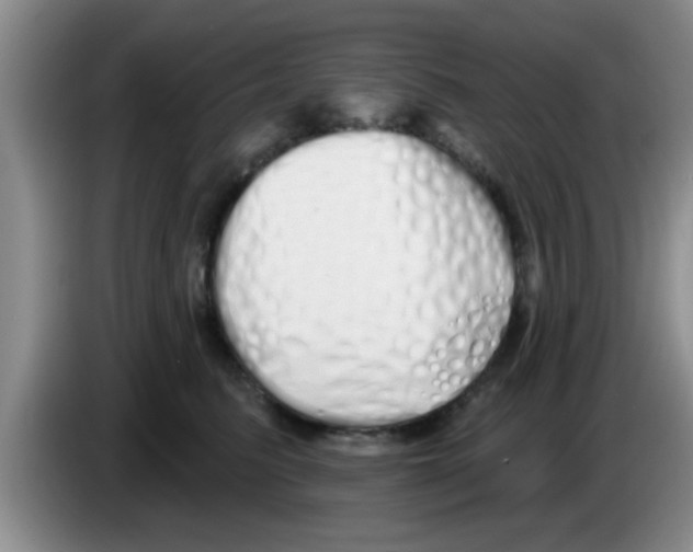 X0000083590615200703091721